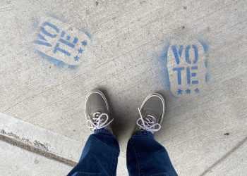 Задание по обществознанию: Направления деятельности политических партий в различных сферах общественной жизни