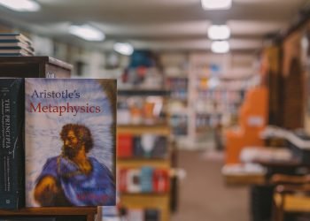 План по теме «Политическое лидерство как институт политической системы» (обществознание)