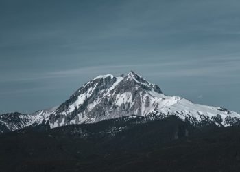 План по теме «Мышление и деятельность» (обществознание)